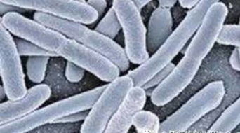 關(guān)于深入開展2016年全國安全用藥月活動(dòng)的通知